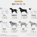Netizen 신비 동물의 왕국' '2022. 5. 15'(일요특집) 이미지