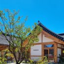 햇살나무한의원 이미지