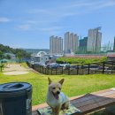 마린파크 동물병원 이미지