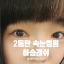 동탄2 속눈썹펌 잘하는 곳 하솜래쉬 내돈내산 후기!