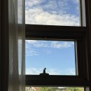 인공 + 자연 | 자연주기 인공수정 1차, 2차 후기