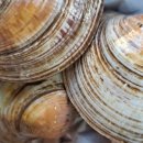 아들축산 이미지