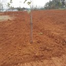 감당농장 이미지