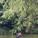 파머스펜션 이미지