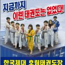 한국체대 호림태권도장 이미지