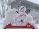 라라공인중개사사무소 이미지