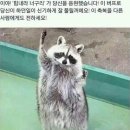 더행운PC 이미지