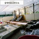 민물김연구센터 | 계곡에서 김이 자란다니! 삼척 민물김연구센터