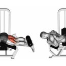 비피엠짐 이미지