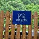 스테이 꿈의대화 이미지