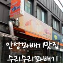 수리수리꽈배기 | [안성 맛집] 내돈내산 안성 성모병원 앞 숨은 꽈배기맛집, '수리수리꽈배기' 솔직 후기!