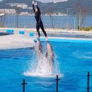 충무카서비스 이미지