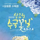 상효원 이미지