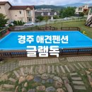 오늘독 | 경주 넓은 잔디밭 글램독 애견펜션 내돈내산 두번째 방문 후기