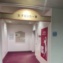 기리시마 | 다카치호CC | 일본 가고시마, 기리시마 골프 후기 2025 12 24