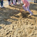 영오2농장 이미지