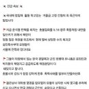 태극기부대 긴급 속보 이미지