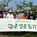 세종플라자 이미지