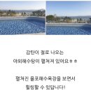 마쥬모텔 이미지