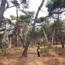 선덕여왕릉 앞