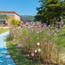 대곡초등학교 이미지