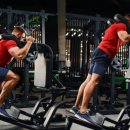 팀 비스트 이미지