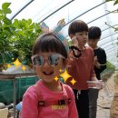 예슬농장 이미지