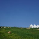 우량농장 이미지