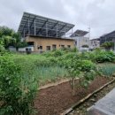 부영1차아파트 앞 이미지