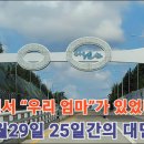 신안군청