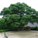 마음의안경 이미지