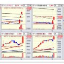 상한가종목 / 연속 상한가 / 상한가매매 정보 이미지