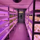 서구-01-05 이미지