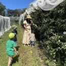 정양농장 이미지