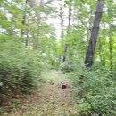 약수골 농장 이미지