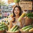 실패없는농산물