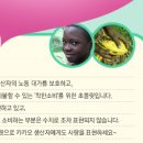 예스초콜렛