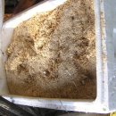 서상농장 이미지