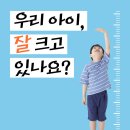 노블스위밍랩 네이버블로그