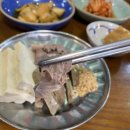 제주동백을담다 이미지