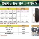 옻안타는 천연염색 대조점