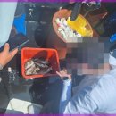 현대낚시 이미지