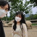 현아목장 이미지