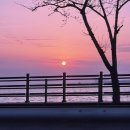 카페로아 - 북구 양일1로 3 | 카페로아
