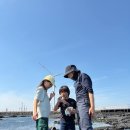 2026년 봄이동수업-개미모둠-저지오름, 동백작은학교, 신창풍차해변(아꼬운방), 명월진성(요망진 새세상방) 이미지