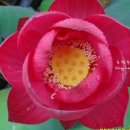 도천농장 이미지