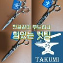 타쿠미 시저스