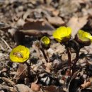 쌈장 (SSAMJANG) 이미지