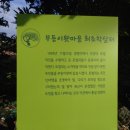 동광리-15 네이버블로그