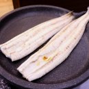 금천수산 민물장어 이미지